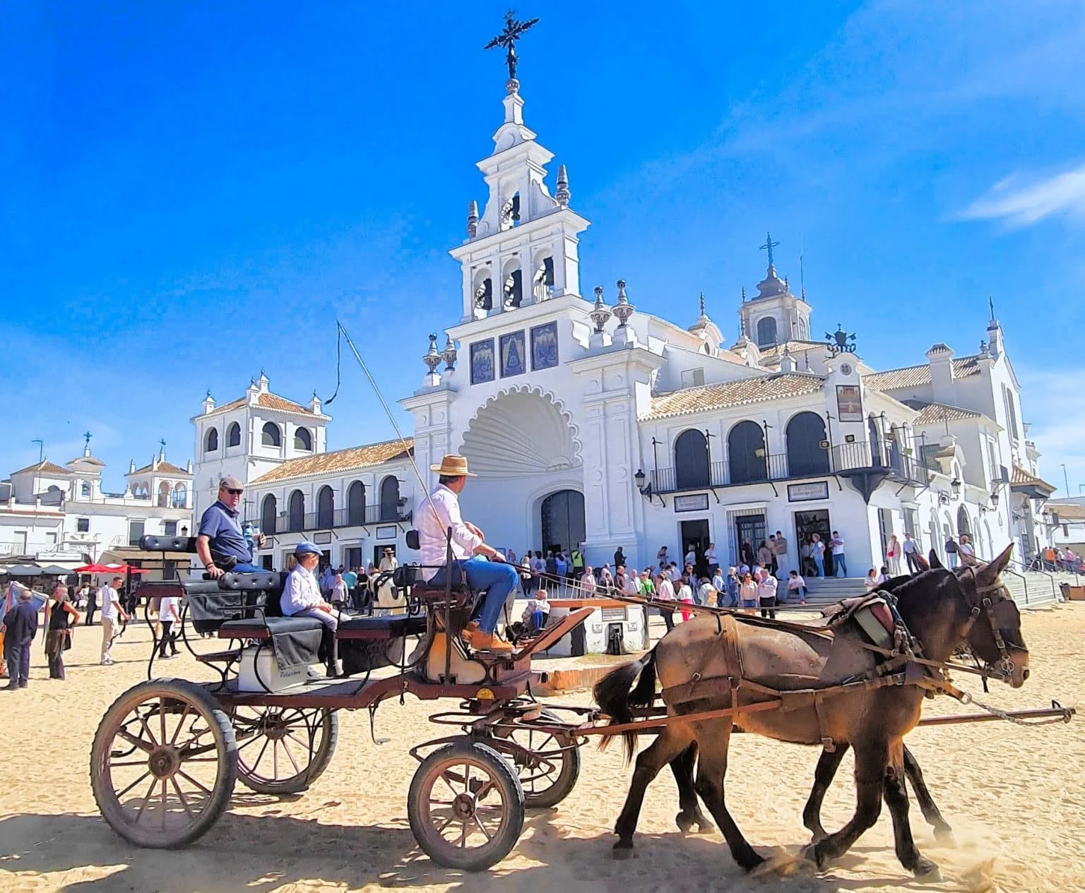 Paseo en coche de caballos