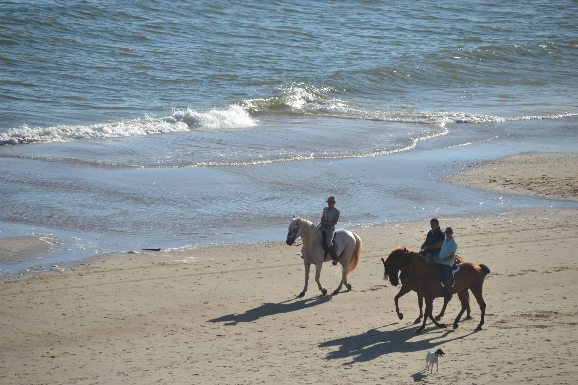 Paseo a caballo por la playa