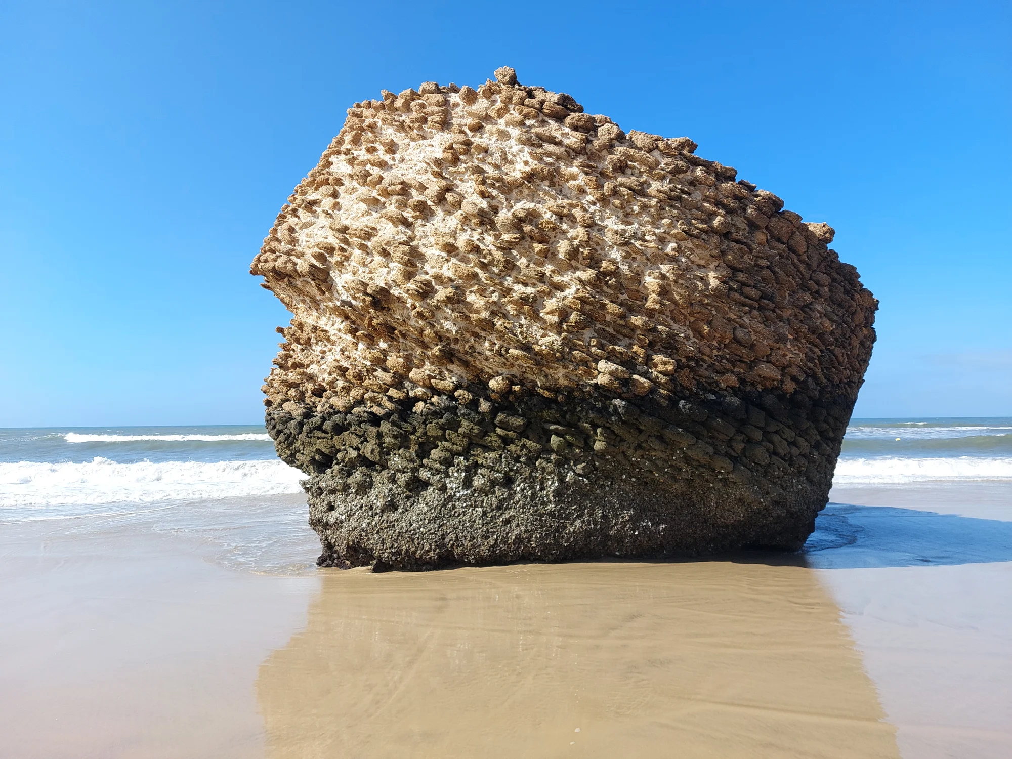 Playa de Matalascañas
